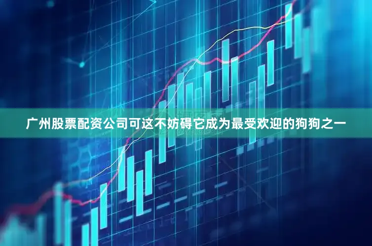 广州股票配资公司可这不妨碍它成为最受欢迎的狗狗之一