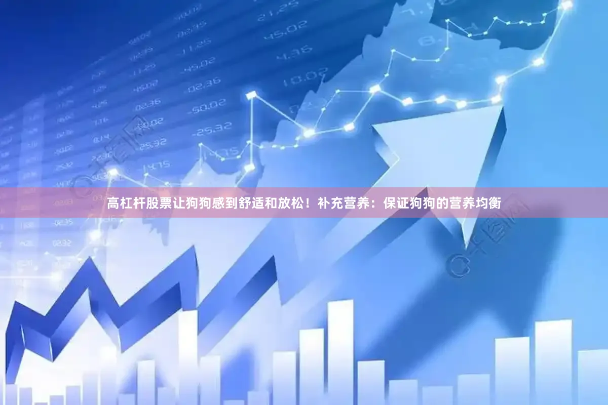 高杠杆股票让狗狗感到舒适和放松！补充营养：保证狗狗的营养均衡