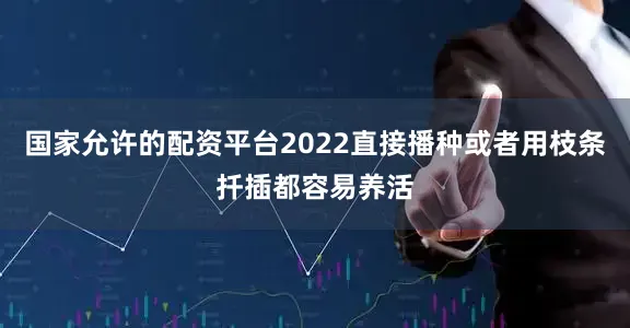 国家允许的配资平台2022直接播种或者用枝条扦插都容易养活