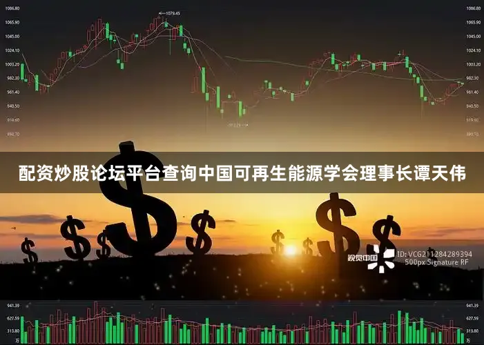 配资炒股论坛平台查询中国可再生能源学会理事长谭天伟
